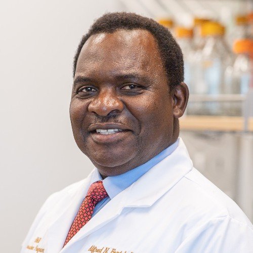  Alfred Fonteh 